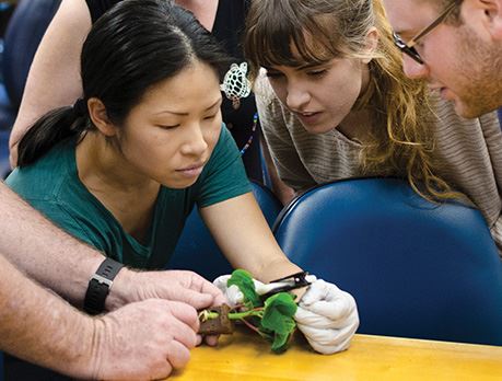 group of student studying a plant