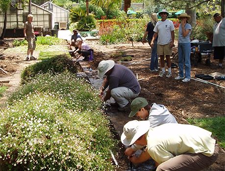 Landscape crew installs sprinklers in garden