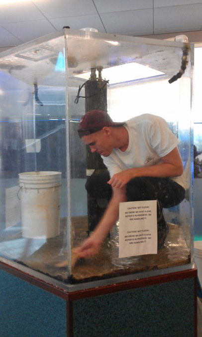 A student inside of hexagon exhibit preparing for repairment, 2013