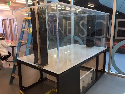 Lewis Center lobby with empty reef aquarium ready for set-up, 2017.