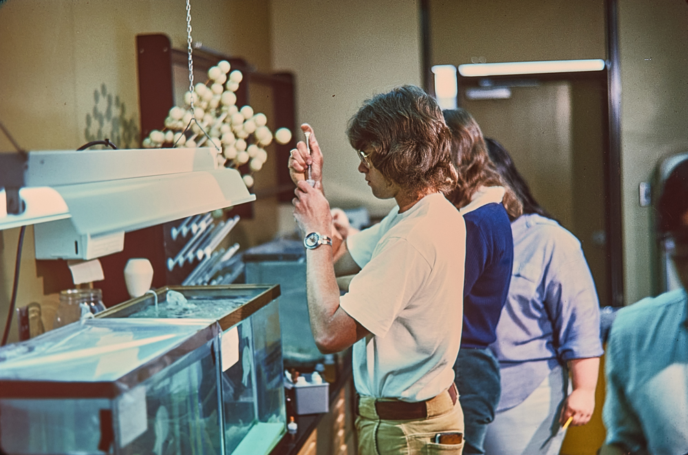 Student pipetting aquarium water into test tube, 1974.