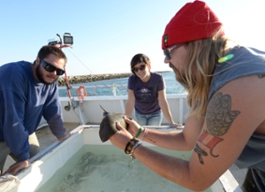 Students learning about some of the fish caught on our oceanography lab trawl