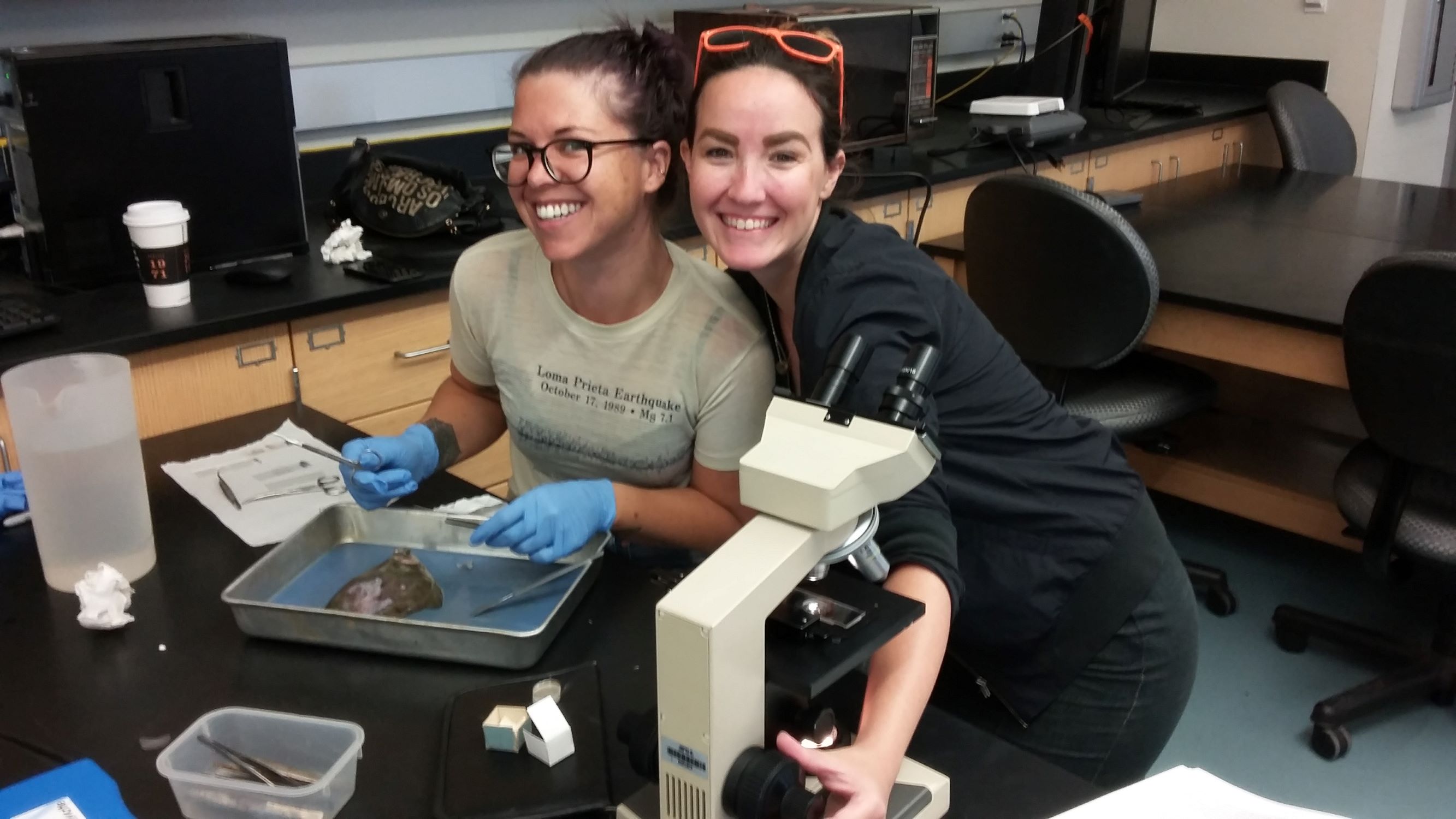 Students performing a necropsy on a flatfish