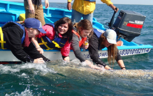 Students whale watching