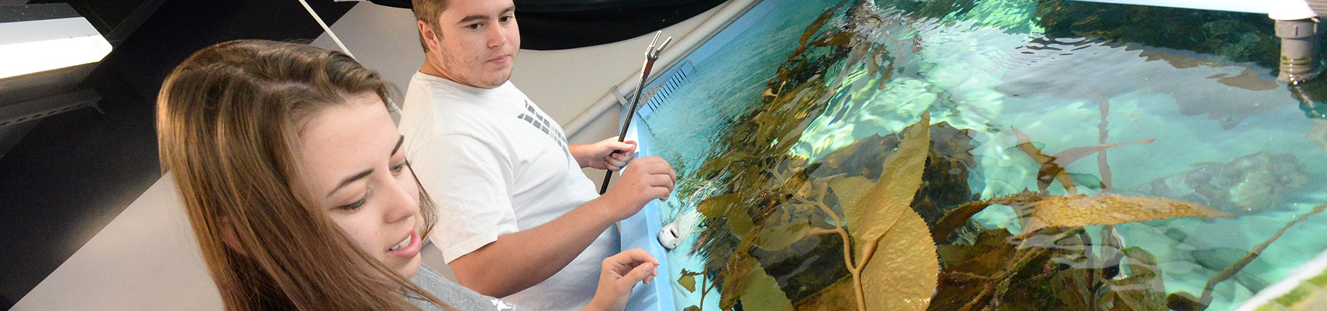 Students feeding juvenile shark