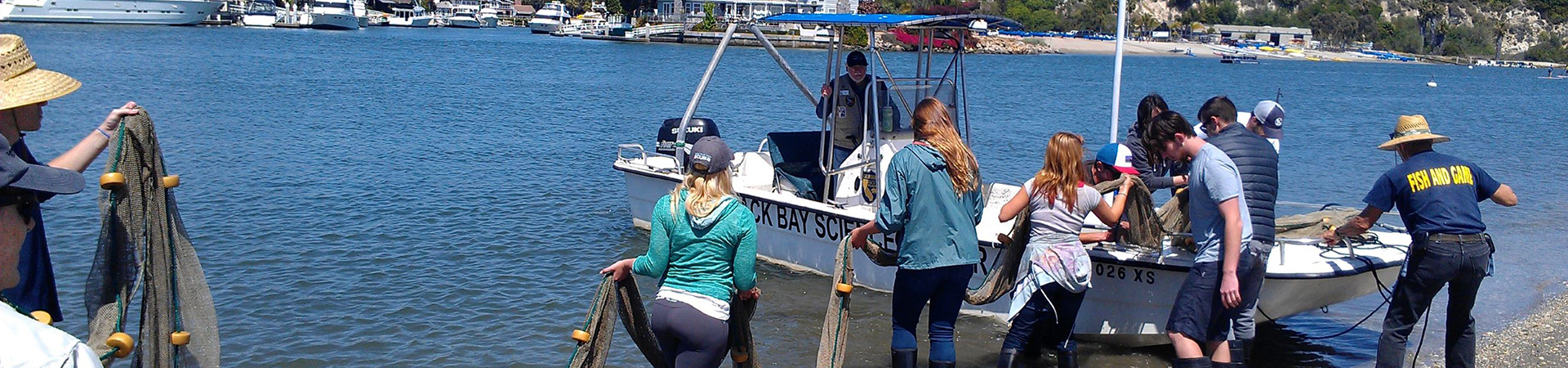 Students pulling in a beach seine net