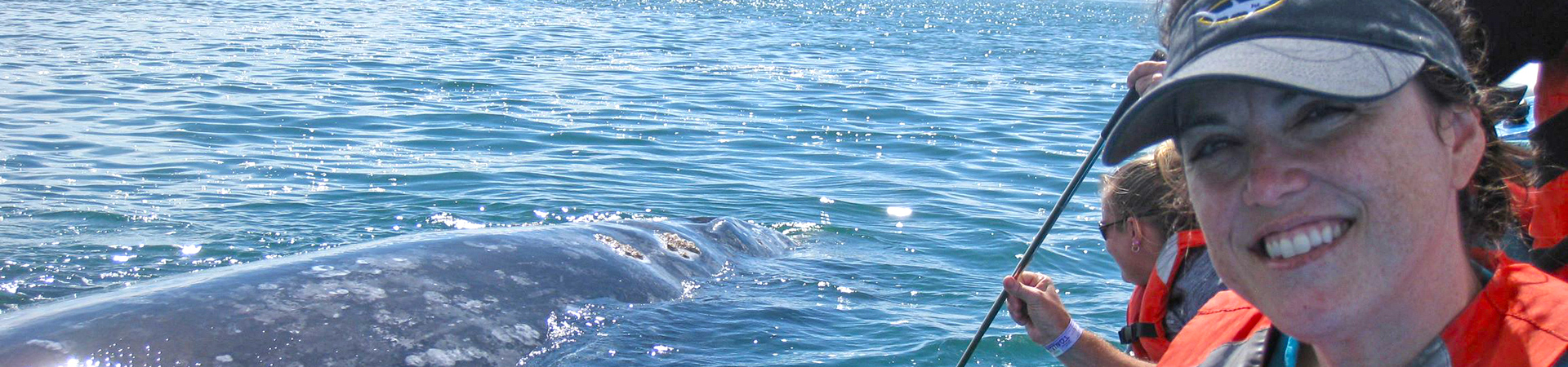 Students whale watching