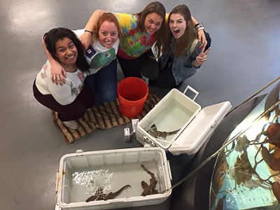 Students acclimating sharks in to our shark exhibit