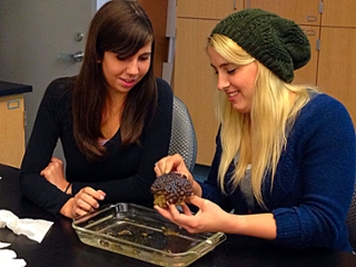 Students fragging corals