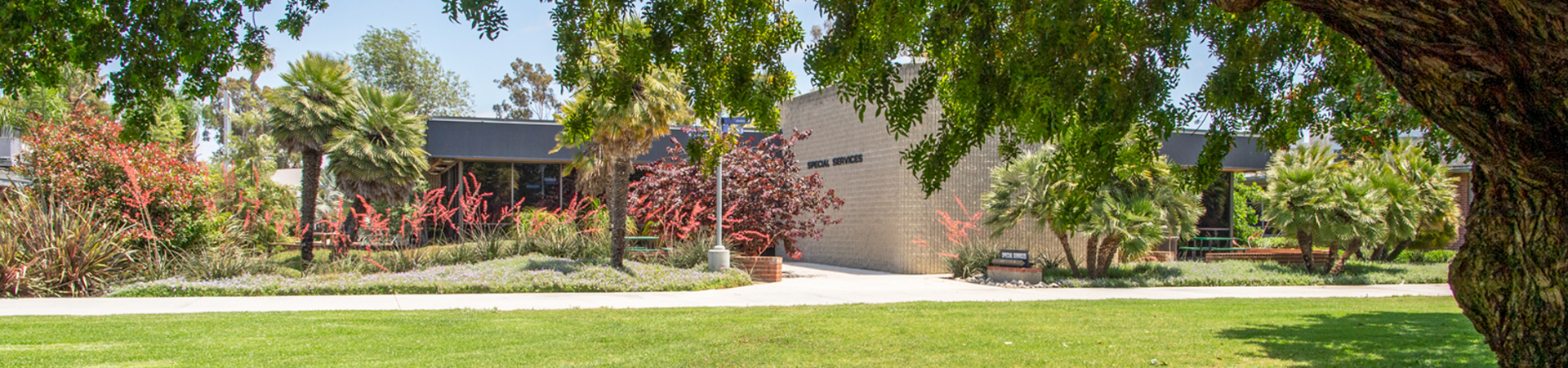 View of the Special Services building with a field grass and trees in the foreground 