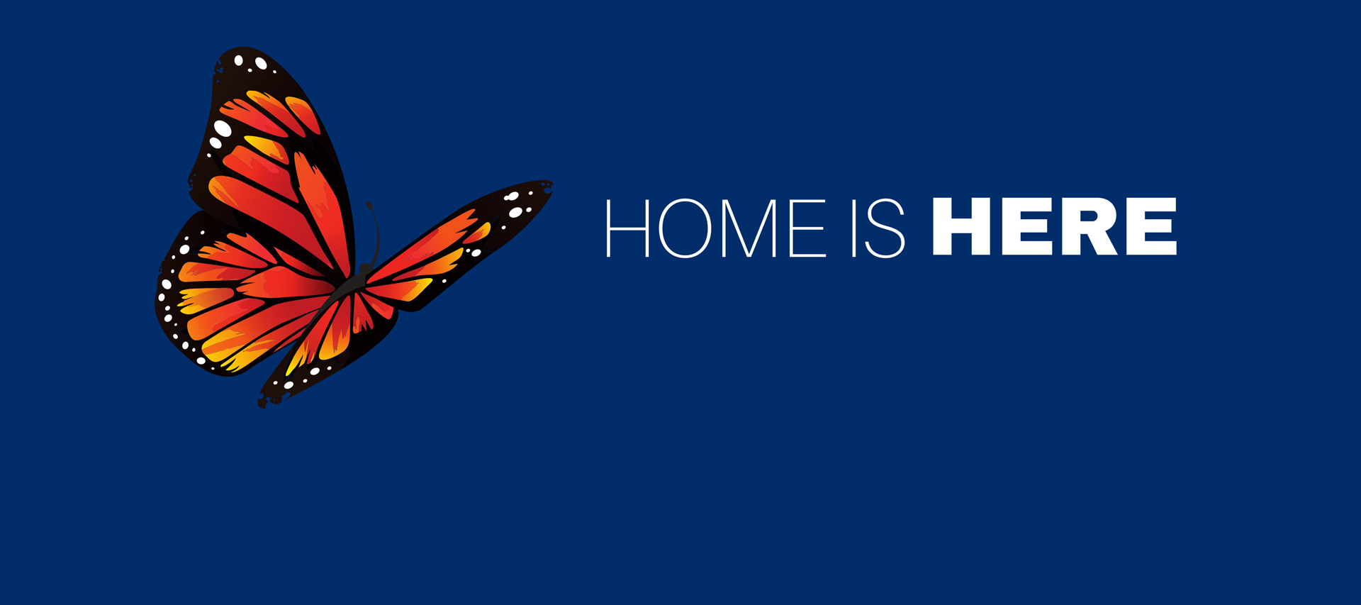 Butterfly. Text: Home is Here