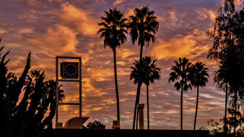 Campus at dawn