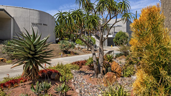 Landscape view from Science Hall