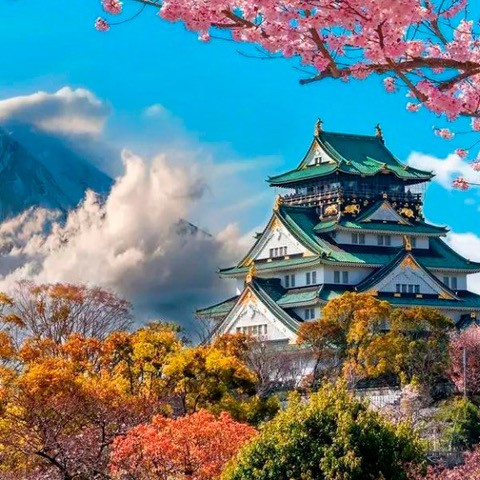 Kyoto Temple with Cherry Blossoms backed by Blue sky